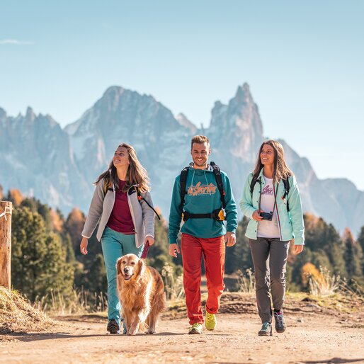 Amici che camminano insieme a un cane in un paesaggio autunnale ai piedi delle Pale di San Martino.  | © APT Fiemme e Cembra - Gaia Panozzo