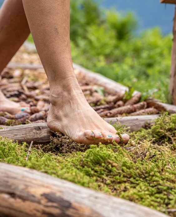 Piedi nudi su percorso sensoriale di muschio e corteccia | © APT Val di Fiemme - Gaia Panozzo