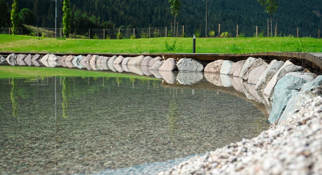 Dettaglio sulla riva ciottolosa del Biolago