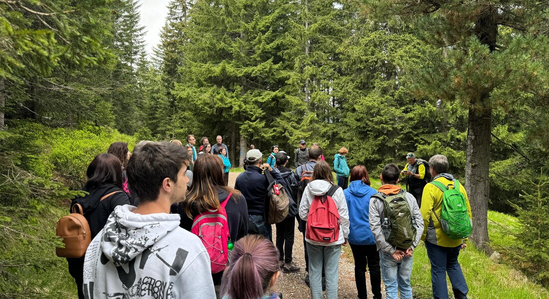 Gruppo di persone passeggia su una strada sterrata nel bosco | © APT Fiemme e Cembra