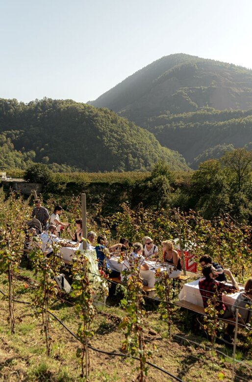 Amici mangiano su tavoli allestiti tra le vigne | © APT Fiemme e Cembra - Mattia Rizzi